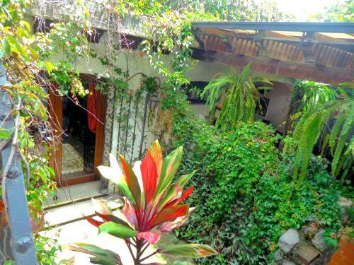 Apartamento Cissus Hotel Boutique
