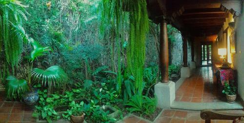 Apartamento Cissus Hotel Boutique