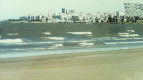 Hotel Gaviota
