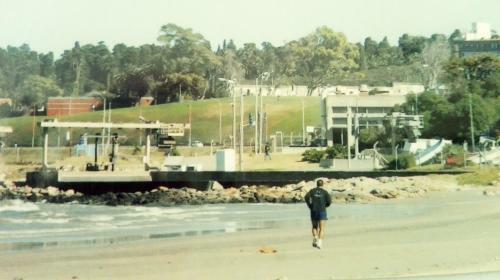 Hotel Gaviota
