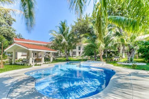 Oasis Tropical