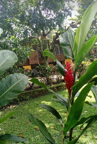 Hotel La Colonia
