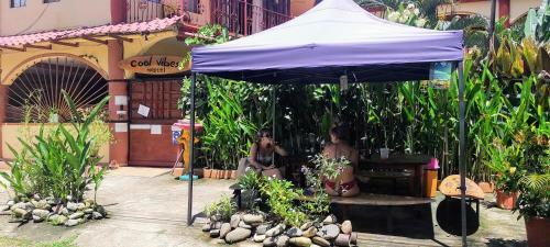 Cool Vibes Beach Hostel