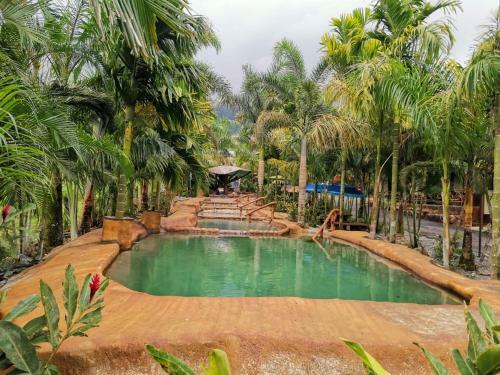 Hotel Palmera Real Hot Springs