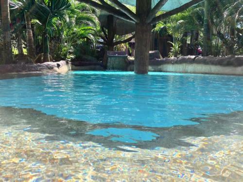 Hotel Palmera Real Hot Springs
