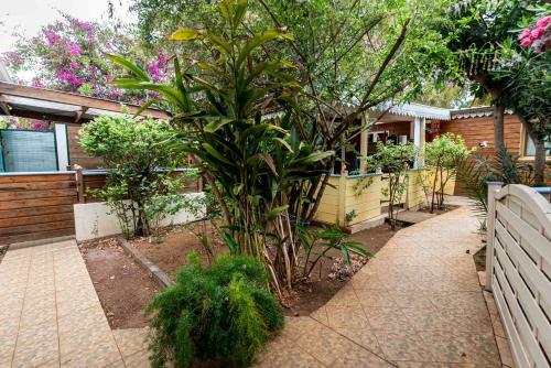 Apartamento H�tel Coco Island