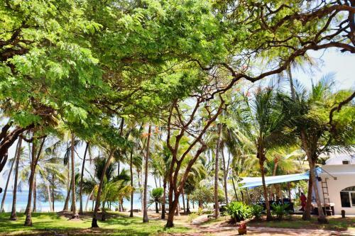 Hotel Searenity Beach Villa