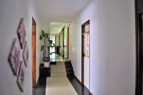 Albergue Natwange Backpackers