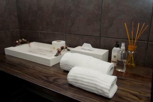 Hostal De Witt'e Guest House