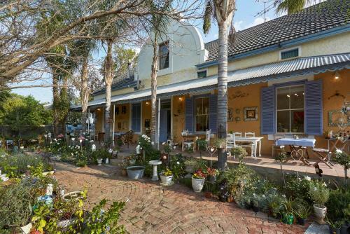 Hostal Yellow Aloe