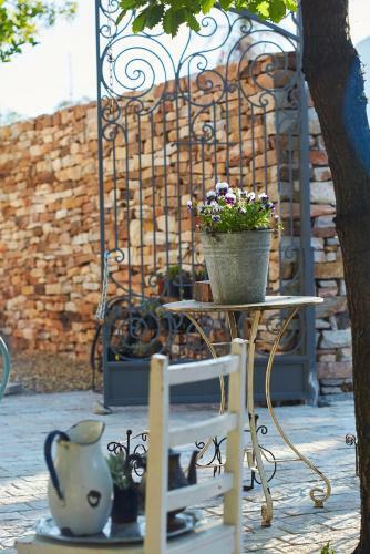 Hostal Yellow Aloe