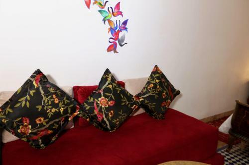 Riad Toyour- Riad Of Birds