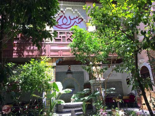 Riad Toyour- Riad Of Birds
