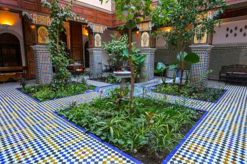 Riad Toyour- Riad Of Birds
