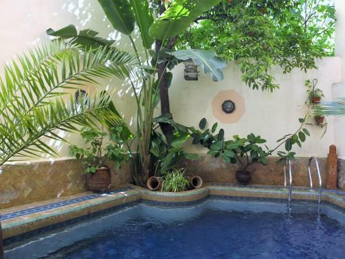Riad La Cl� De F�s