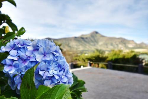 Golden View Luxury Self Catering