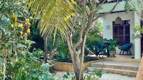 Hotel Atii Garden Bungalows
