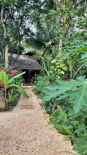 Hotel Atii Garden Bungalows