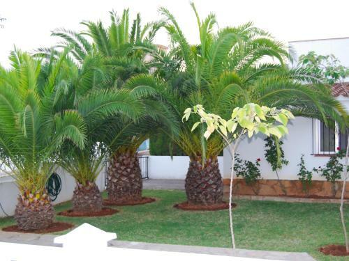 Apartment Urb Lloma Bella Penyiscola