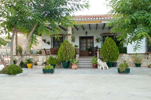 Finca Villa Rey