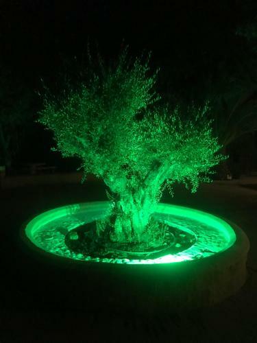 Finca Villa Rey