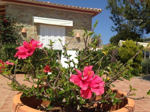 Villa Finca Klara