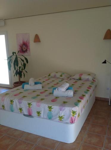 Villa Finca Klara
