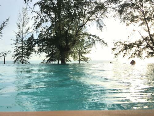 Hotel Coriacea Beachfront Boutique Phuket Resort - Sha Plus