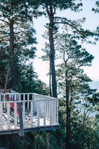 Lodge Caba�as Rancho Viejo