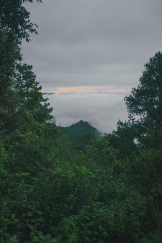 Lodge Caba�as Rancho Viejo