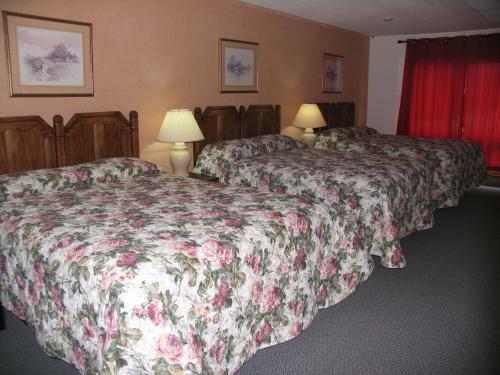 Seven Oakes Motel