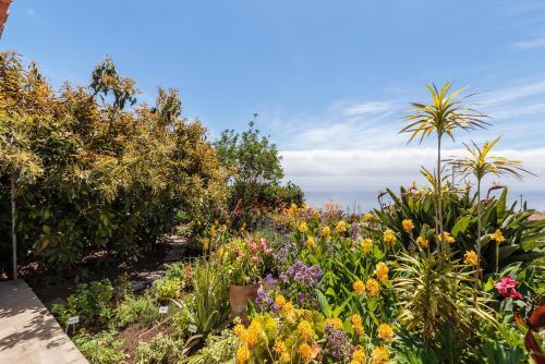 El Sitio La Rosa