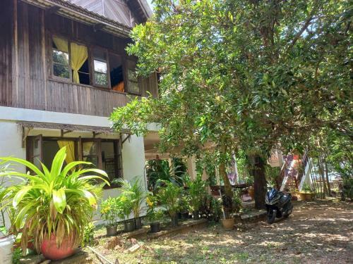 Jungle House Kep