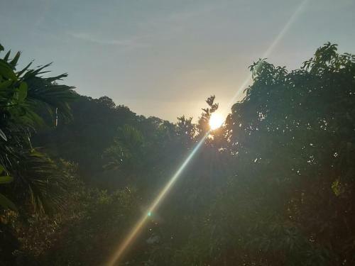 Jungle House Kep