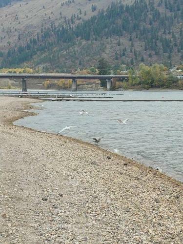 Apartamento Little Shuswap Lake Front Suite