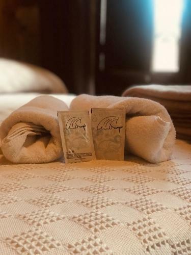 Albergue Roots&boots Lugo
