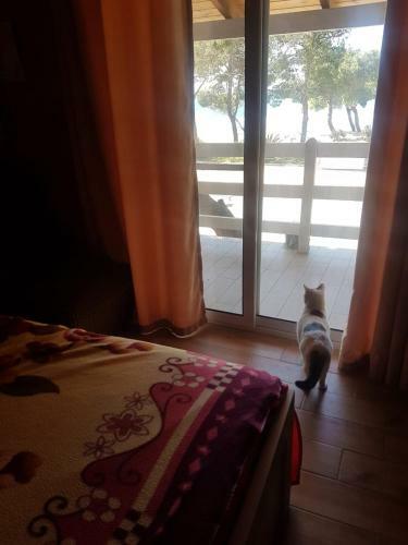 Hostal Bujtina E Zefit