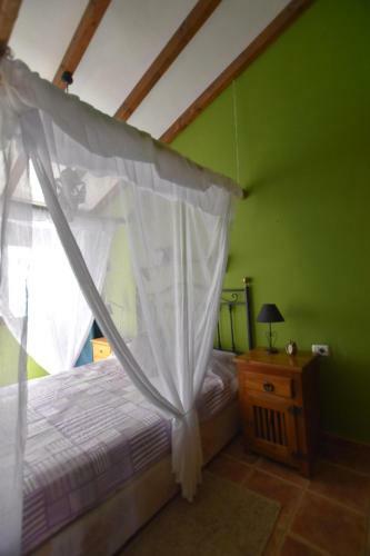 Casa Manus