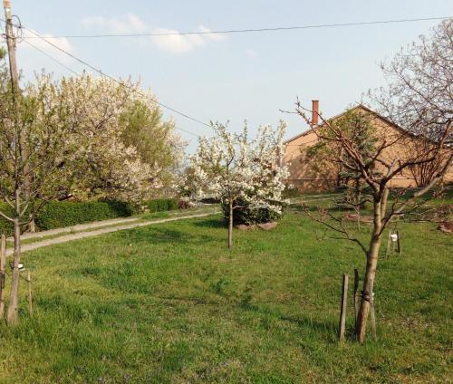 Apartamento Panor�ma Pihen?h�z