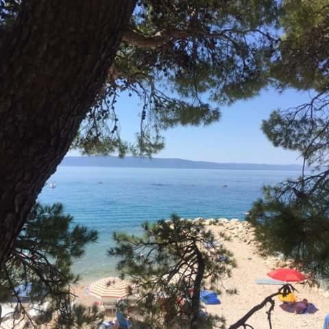 Studio Apartmani Uz Pla?u, Vila ?tedul, Barbat 422a