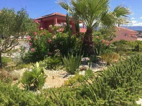 Studio Apartmani Uz Pla?u, Vila ?tedul, Barbat 422a