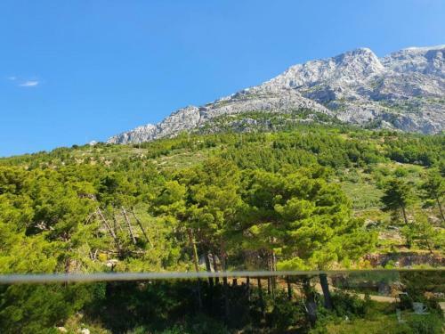 Apartments Villa Esse - Heated Pool & Seaview