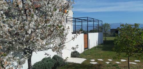 Holiday Home Kunterbunt