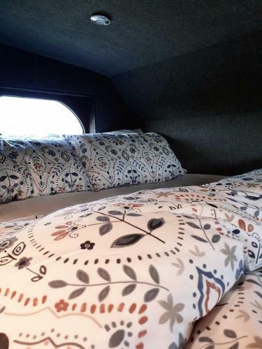 Experience Our Charming Wexford Horsebox Glamping