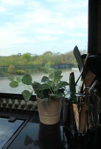 Experience Our Charming Wexford Horsebox Glamping
