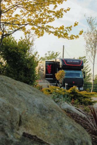 Experience Our Charming Wexford Horsebox Glamping