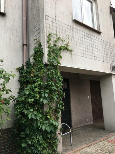 Apartamento Pokoje U Asi