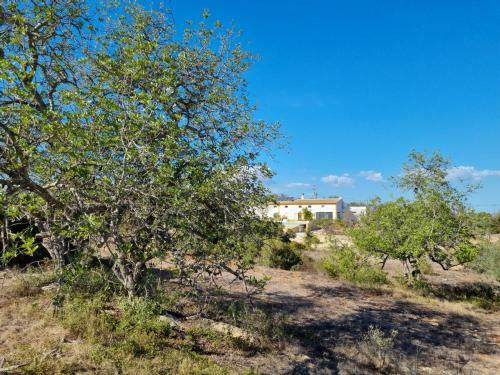 Agroturismo Villa Das Alfarrobas