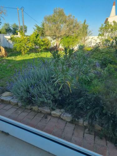 Agroturismo Villa Das Alfarrobas