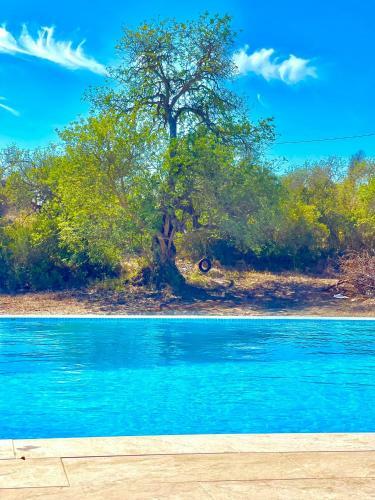 Agroturismo Villa Das Alfarrobas